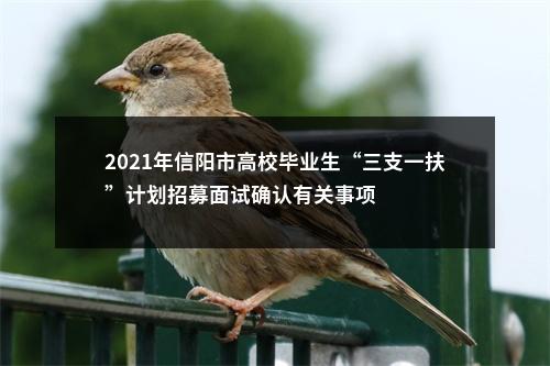 2021年信阳市高校毕业生“三支一扶”计划招募面试确认有关事项 图片