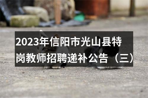 2023年信阳市光山县特岗教师招聘递补公告（三） 图片