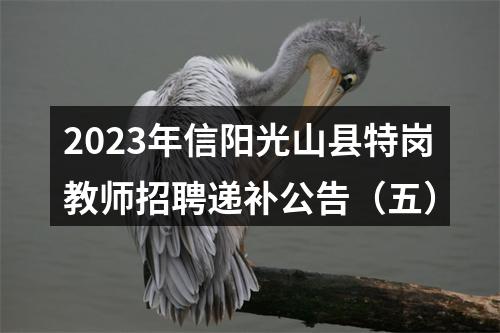 2023年信阳光山县特岗教师招聘递补公告（五） 图片