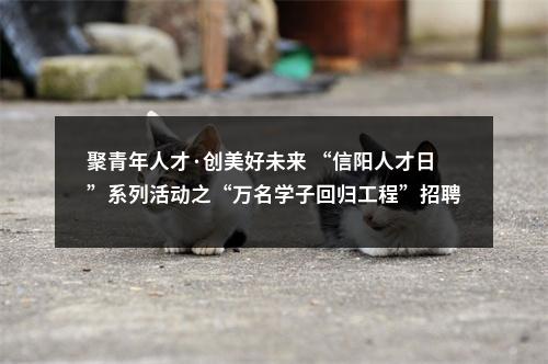 聚青年人才·创美好未来 “信阳人才日”系列活动之“万名学子回归工程”招聘会公告 图片