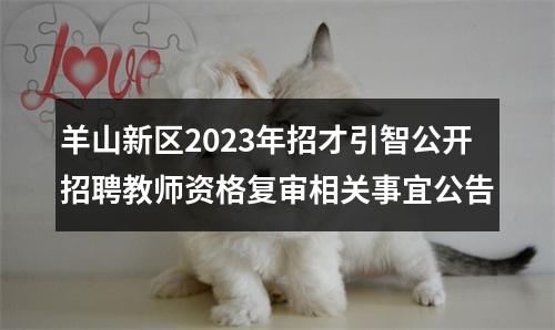 羊山新区2023年招才引智公开招聘教师资格复审相关事宜公告 图片