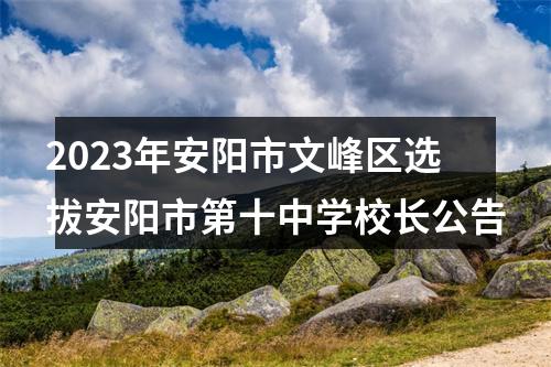 2023年安阳市文峰区选拔安阳市第十中学校长公告 图片