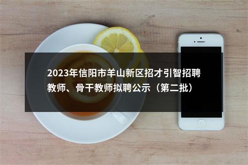 2023年信阳市羊山新区招才引智招聘教师、骨干教师拟聘公示（第二批） 图片