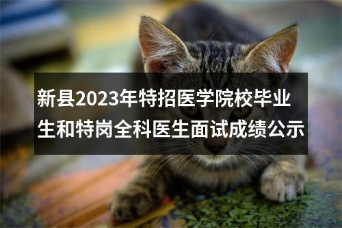 新县2023年特招医学院校毕业生和特岗全科医生面试成绩公示 图片