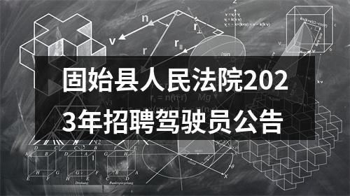 固始县人民法院2023年招聘驾驶员公告 图片